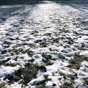 Meet your Posher, Austine